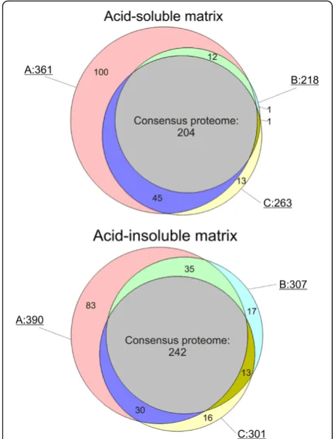 Figure 2 PAGE comparison of acid-soluble and acid-insolublematrix. Molecular weight markers are indicated at the left