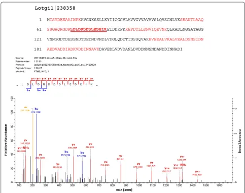 Figure 4 The amino acid sequence of a very acidic protein, Lotgi1|238358. Entry Lotgi1|238358 contains the sequence of a predictedtransmembrane protein with a short intracellular domain (aa2–20), the predicted transmembrane segment (underlined) and a very 
