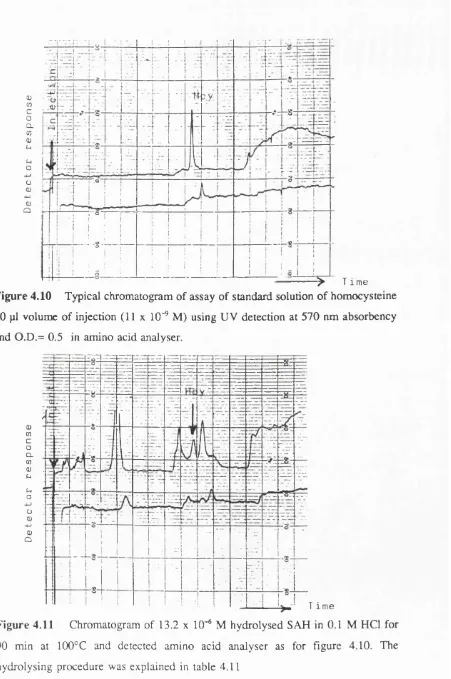 Figure 4.10 