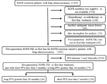 Figure 1 Patients’ selection ﬂowchart. EGFR, epidermal growth factor receptor; TKIs, tyrosine kinase inhibitors; PFS, progression-free survival.