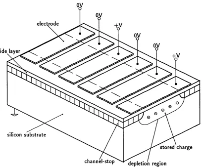 Figure 1.2: Schematic structure of charge coupled device. Courtesy M. Clayton.