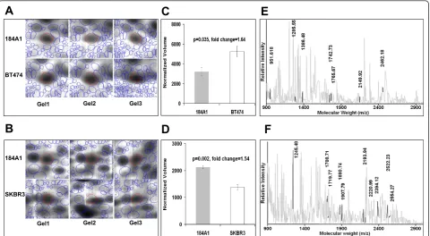 Figure 2 Montage showing differential expression of (A) Rnase11 and (B) Hibadh on each gel across both comparisons (identifiedspot border is in red and neighboring spot borders are in blue)