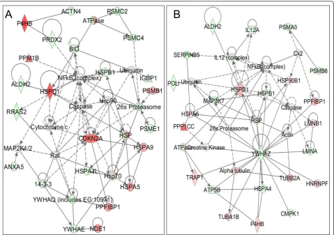 Figure 5 Proteins differentially expressed in (A) BT474 and (B) SKBR3 in comparison with 184A1 were overlaid onto a globalmolecular network developed from information contained in the Ingenuity Knowledge Base (IKB)represented as nodes, and the biological r