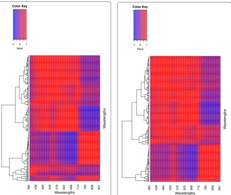 Fig. 8 Heatmap for the 250 bands in environment Drought. In the measured (392–851 nm), while in the y‑axis the wavelengths are x‑axis the bands are presented from the lowest to largest wavelength clustered