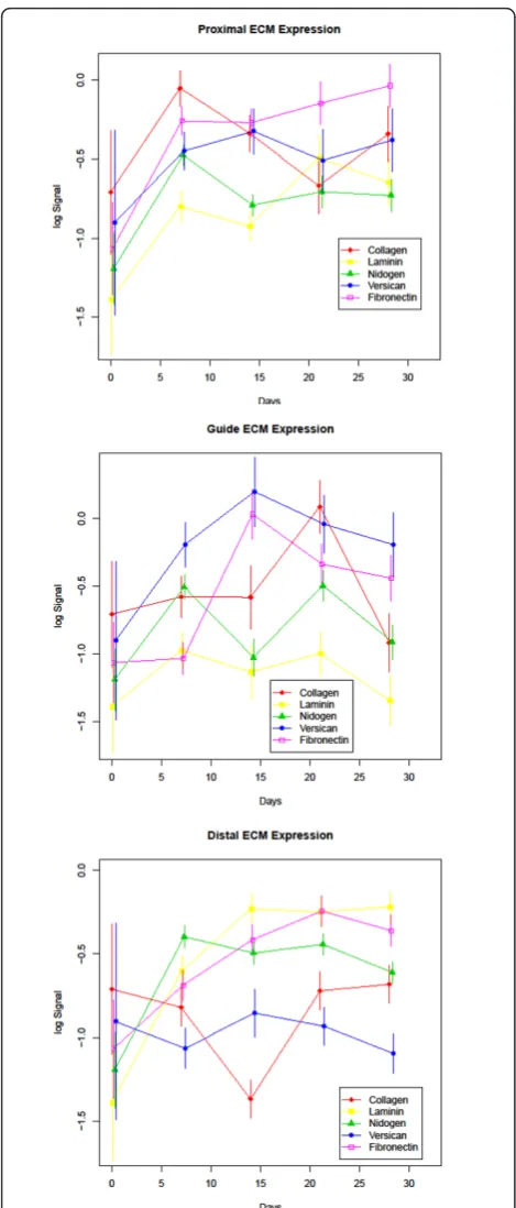 Figure 5 ECM Protein Expression: Expression profiles of the ECMgroup of study proteins divided into proximal, guide and distalsegments