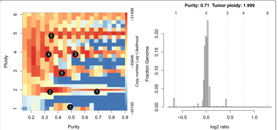 Fig. 2 Example output of PureCN, applied to whole exome sequencing data of a male breast cancer patient