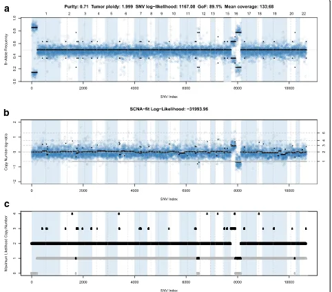 Fig. 3 B-allele plot of the male breast cancer metastasis example. In all 3 panels, anumber log-ratios, panel (using the estimated purity and the total (sum of maternal and paternal copy number) and minor (the minimum of maternal and paternalcopy number) s