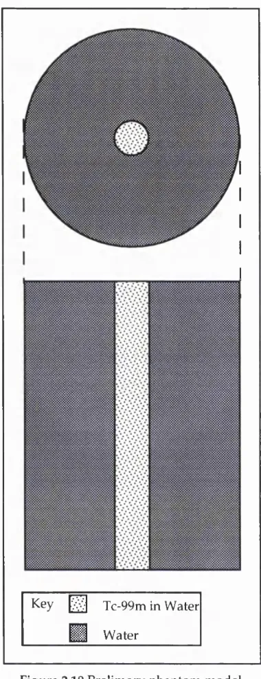 Figure 2.19 Prelimary phantom model.