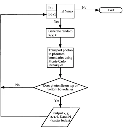 Figure 2.24 Monte Carlo simulation of photon transport in line source phantom.