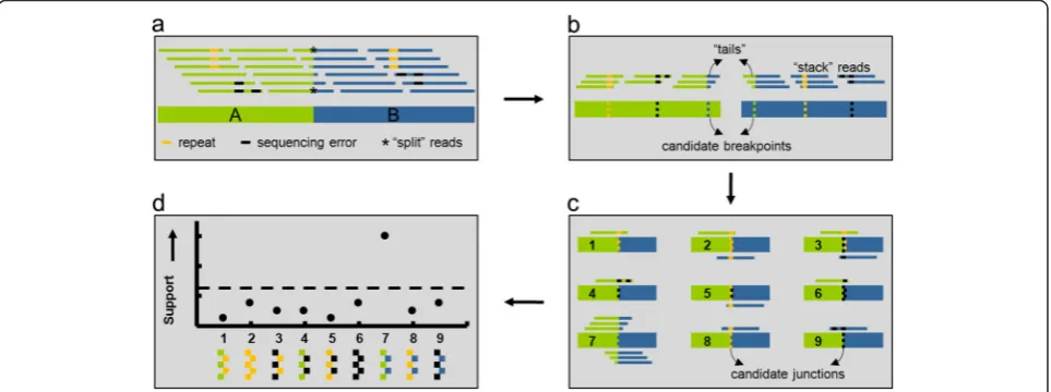 Figure 1 illustrates how in addition to split reads (*), otherchimeric reads that map to only one genomic location canprovide corroborative evidence for a SV connecting thebreakpoint regions A (green) and B (blue) in the test sam-ple (box 1a)