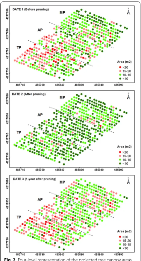Fig. 2 Four‑level representation of the projected tree canopy areas as computed on the three study dates