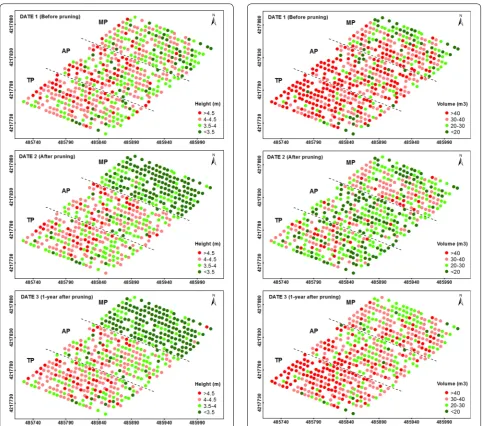 Fig. 4 Four‑level representation of the tree crown volumes as com‑puted on the three study dates