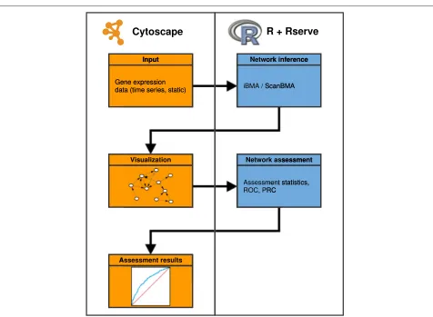 Fig. 1 Network inference and assessment workflow. A diagram illustrating the full CyNetworkBMA application flow, from gene expression data to agenerated network to assessment results