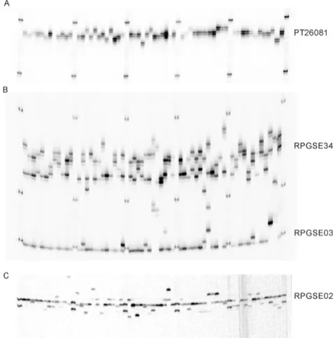 Figure 1taining mono-, di-, and trinucleotide repeatsMicrosatellite genotyping of 60 spruce trees with SSRs con-Microsatellite genotyping of 60 spruce trees with SSRs containing mono-, di-, and trinucleotide repeats
