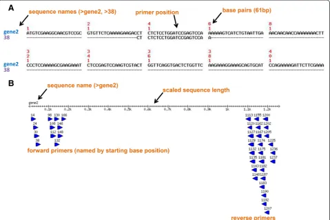 Fig. 1 Screen-shot of the graphical outputs generated by PrimerView. a PrimerView designs primers for datasets of any size and generates a JPEGformat file of the alignment for each primer illustrating its position on the target sequence