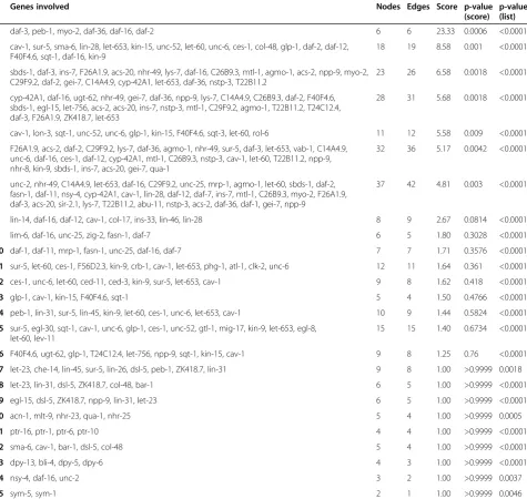Table 1 Networks identified in a Wormpath analysis of 1349 genes regulated upon UV radiation