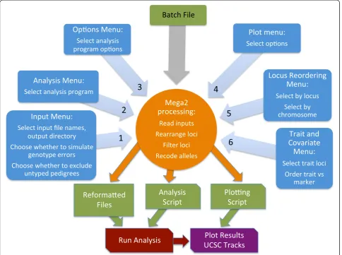 Figure 1 After querying the user via a variety of menus (blue blocks), Mega2 then processes the data (orange circle), creatingreformatted files and auxiliary analysis and plotting scripts (green blocks)
