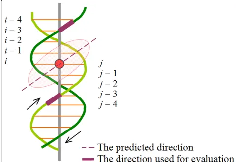 Figure 3 Demonstration of how the predicted orientation is evaluated. The red circle stands for the center of a DBU-binding region