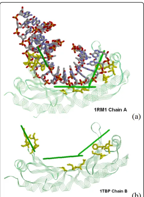 Table 2 Comparison with existing methods for predicting DNA-binding residues.