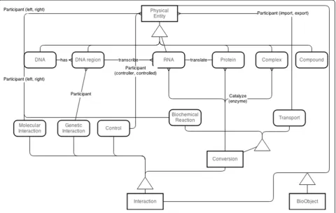 Figure 1 Entity relationship diagram of classes and their relationship.