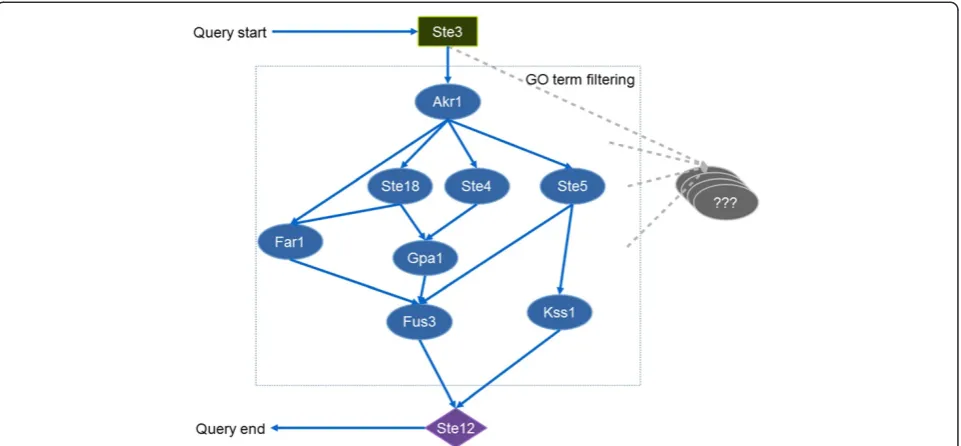Figure 3 Diagram of the pheromone pathway and query steps.while grey ovals are filtered out by GO terms