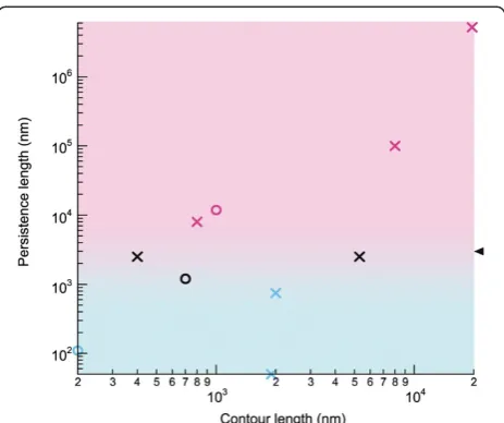 Figure 5 Graphical guide indicating which measure should beused to derive the persistence length