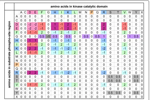 Figure 3 Residue interaction matrix. Residue interaction matrix R. Rows show the amino acids in the phosphosite regions and columns areamino acids in the catalytic domain of the kinases