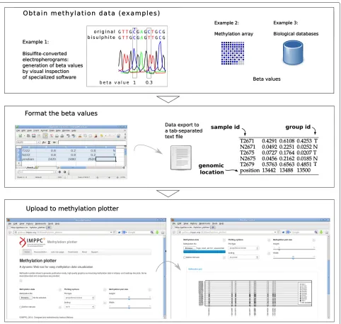 Figure 1 Data input and usage flowchart. Methylation plotter uses beta-values as input