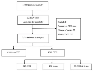 Figure 1 Flowchart of participant selection and follow-up data in TLGS (1999–2018).