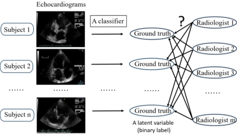 Figure 2.1: Classifier training from multiple annotators. Echocardiograms of n subjects are annotated by m radiologists, and the ground truth for each image is unknown