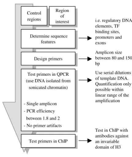 Figure 4Outline for setting up QPCROutline for setting up QPCR. This outline represents setting up the QPCR analysis, as described in the text