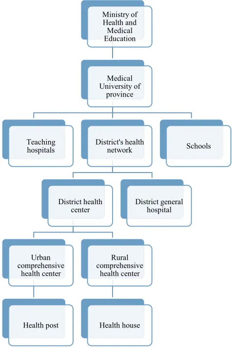 Figure 1 Schematic picture of the health system network in Iran.