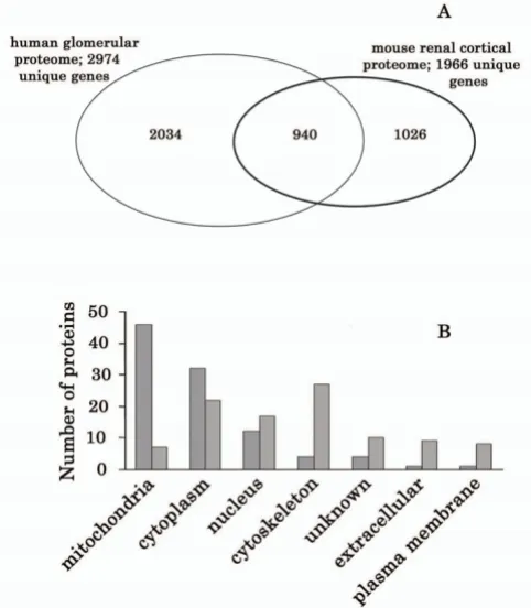 Figure 5Gene Ontology classification of molecular functionGene Ontology classification of molecular function