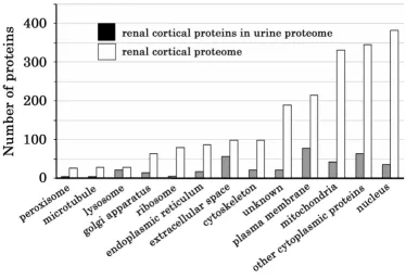 Figure 8Subcellular location distribution patterns of the renal cortex proteome and the renal proteins that have been identified in urineSubcellular location distribution patterns of the renal cortex proteome and the renal proteins that have been identified in 