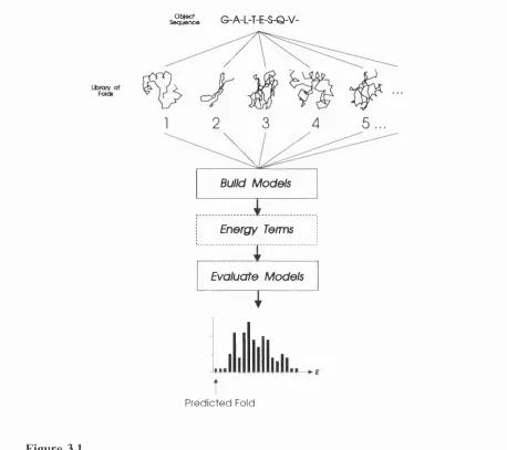 Figure 3.1Diagrammatic representation of a possible approach to protein structure prediction 
