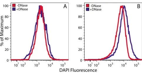 Figure 1Flow cytometric analysis of DAPI-stained chloroplastsFlow cytometric analysis of DAPI-stained chloroplasts