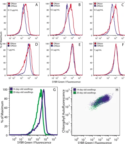 Figure 3Flow cytometric analysis of SG-stained chloroplastsFlow cytometric analysis of SG-stained chloroplasts