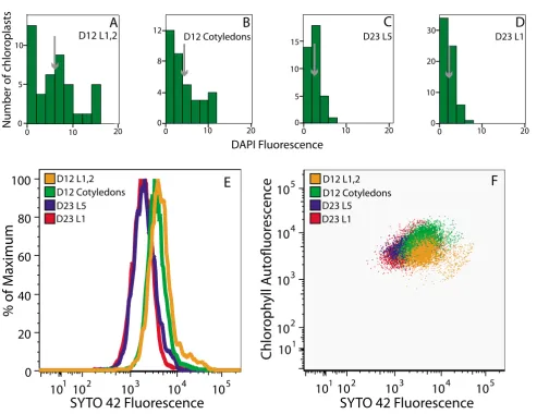 Figure 6Analysis of changes in cpDNA content during development using fluorescence microscopy and flow cytometrysamples shown in (Analysis of changes in cpDNA content during development using fluorescence microscopy and flow cytometry