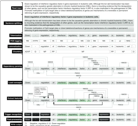 Figure 2 Illustration of the processing pipeline for the sentenceleukemic cells. “Down-regulation of interferon regulatory factor 4 gene expression in”, highlighting the output of linguistic parsing, shortest paths, provided concepts and extracted triggers.