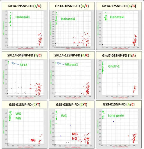Fig. 9 Genotyping of five yield-related genes from 39 rice accessions using nine Fluidigm SNP genotyping markers