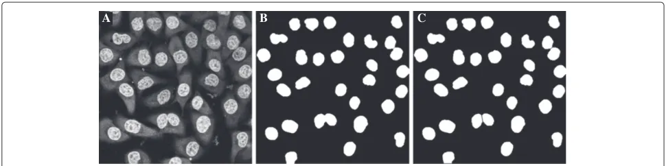 Figure 14 A batch processing of two data sets from two experimental conditions, as described in Example 12.plane seven