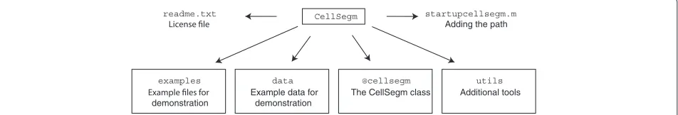 Figure 1 Software design of Cpost-analysis of the segmentation data. The batch processingThe quality of the resulting segmentation can be assessed inELLSEGM