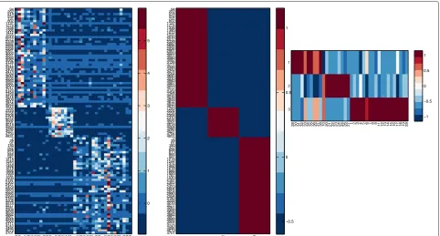 Figure 1 Heat map of NMF biclustering result. Left: the gene expression data where each column corresponds to a sample