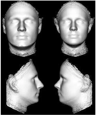 Figure 9.1: Illustration of the computationally-derived information about the sex of a face from three dimensional head models from laser scans [89]