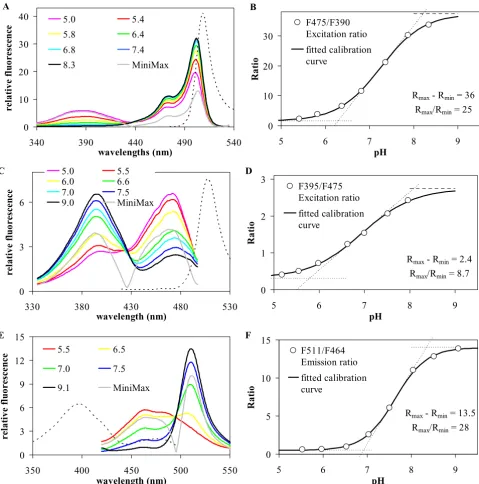 Figure 1Fluorescence properties of genetically encoded pH-indicatorsD: of ecliptic pHluorin taken at different pH ((corresponding to pH 7.5