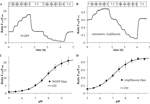 Figure 6'In situ' calibration procedurebars indicate standard deviation. Data in pHluorin ('In situ' calibration procedure