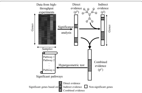 Figure 1 Schematic representation of PathNet analysis. The direct evidence pertaining to differential gene expression is detected viamicroarray analysis while the indirect evidence of a gene is calculated from the direct evidences of its neighbors in the p