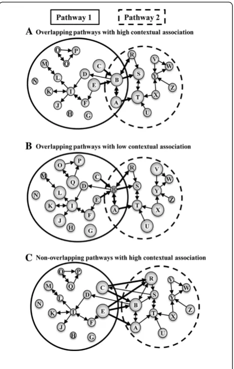 Figure 2 Schematic representation of three scenarios ofassociation. The pathway maps are exactly the same as in case (However, Pathway 1 iscontext of gene expression data, as the genes connected by thickedges are modestly differentially expressed (thick co