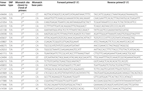 Table 5 20 primers pairs designed according to SNPs between rapeseed zy036 and 51070