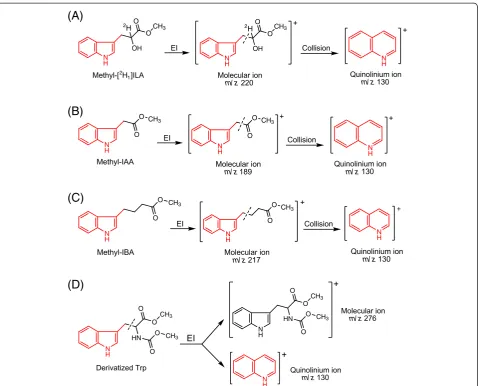 Figure 4 Ionization and fragmentation of derivatized analytes during MS analyses. EI: electron impact ionization source
